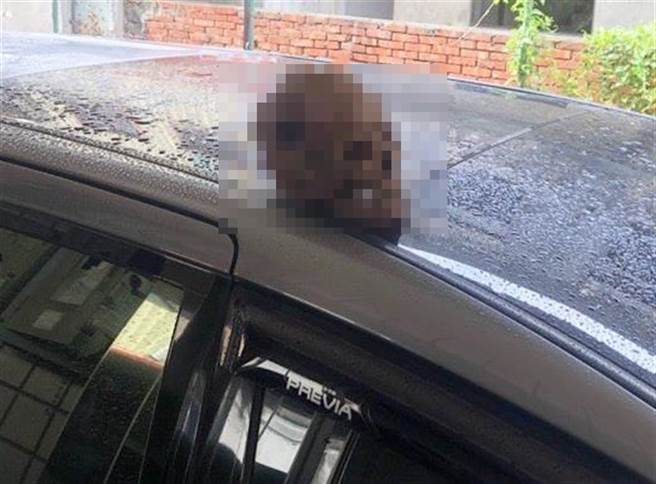 黃姓男子居住在廢棄空屋屢次被警方驅趕，疑心是鄰居報警，竟自公墓盜來2具頭骨，放置在鄰居的車頂嚇人。（陳淑芬翻攝）