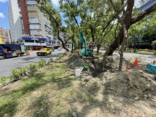 受保護樹木被瓦斯毒死北市竟誤判 剝開樹皮還是活的 生活 中時