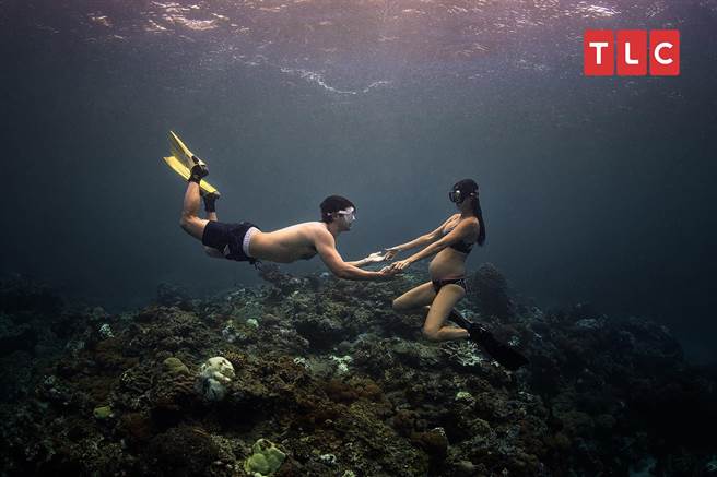Janet 挺着怀孕的肚子也要下水示范。（TLC频道提供，Yorko Summer摄）