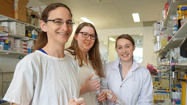 澳大利亚国立大学的阿迪法哈尔(最左)，与她的研究团队，发现用死细菌注入癌肿瘤以触发免疫系统来清理的想法。(图/ANU)