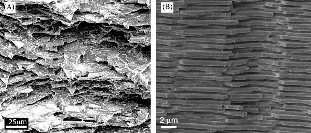 新型玻璃复合材料的微观结构（左）和天然珍珠层（右）。(图/麦吉尔大学)(photo:ChinaTimes)