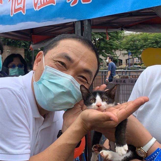 猫咪「茶茶」遭虐死，开庭前夕，新北市长侯友宜在脸书发千字文喊话。（图／摘自侯友宜脸书）