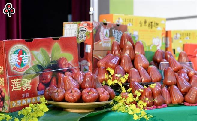 行政院今天宣布將朝向中國大陸以外市場外銷5000噸、蓮霧盼售出1000噸。（報系資料照）