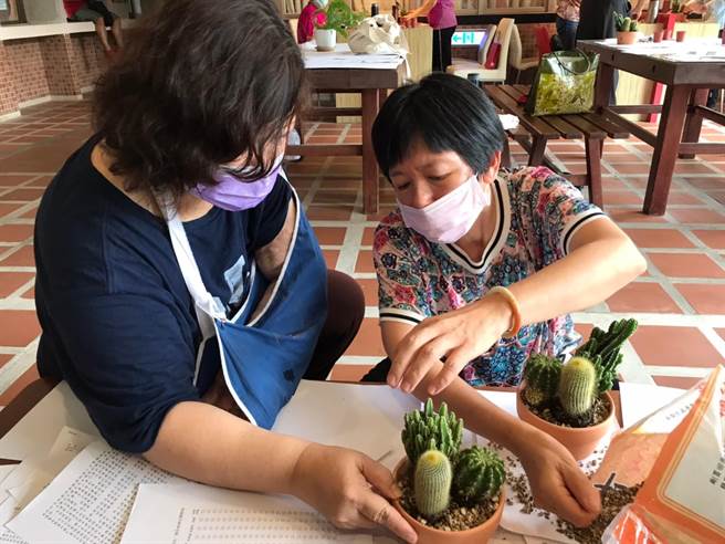 「綠手指：種植綠植栽教學」也是樂齡大學的課程單元之一。（金大提供）