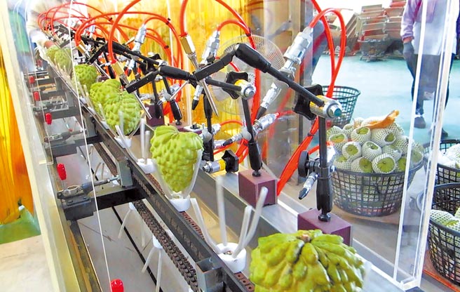 台东区农改场研发的粉介壳虫清除机械效率高，可望提升凤梨释迦出口品质及竞争力。（台东区农改场提供／庄哲权台东传真）