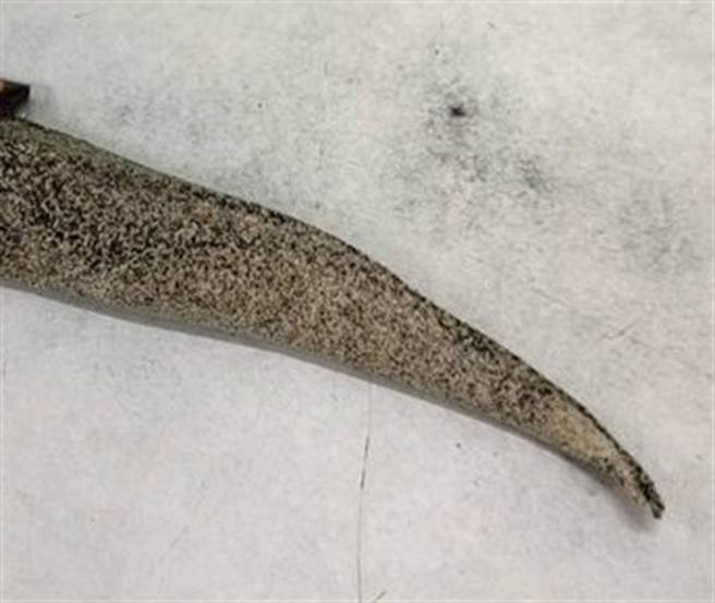 有网友在好市多买的知名咖啡粉包，一打开竟然凝结成条状的咖啡块，形状跟壁虎尾巴一样。（图／翻摄自脸书 Costco好市多 商品经验老实说） 