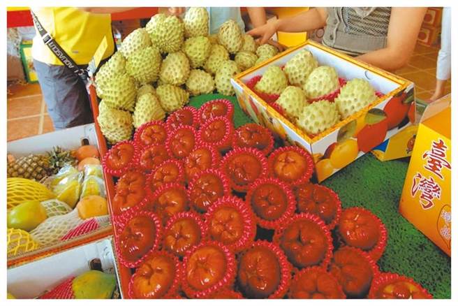 大陆9月19日宣布自暂停禁止台湾释迦、莲雾输陆。（中时资料照）