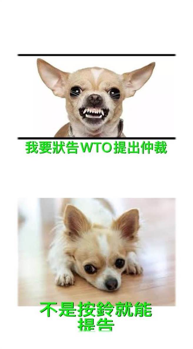 （取自林佳新脸书）