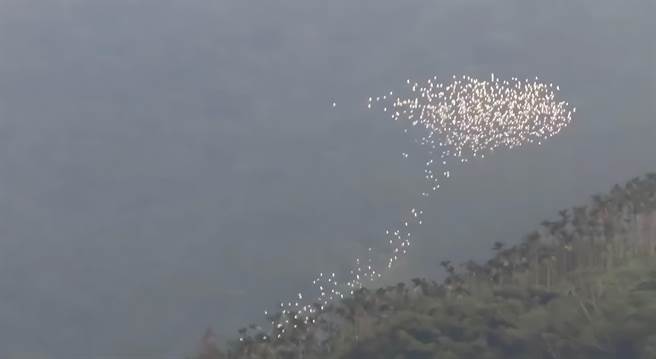 嘉义县梅山乡太兴村因黄头鹭过境时在谷底延气流向上盘旋有「万鹭朝凤」的美称，黄头鹭因气流变换队形，神似「神龙摆尾」。（苏家弘提供／张亦惠嘉县传真）