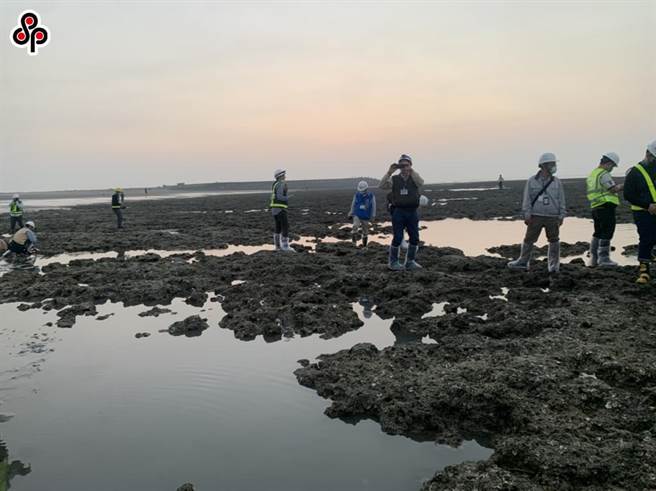 行政院5月推出三接外推方案后，中油近日把「桃园市观塘工业区工业专用港环境影响说明书环境影响差异分析报告（外推方案）」送至环保署。（报系资料照）