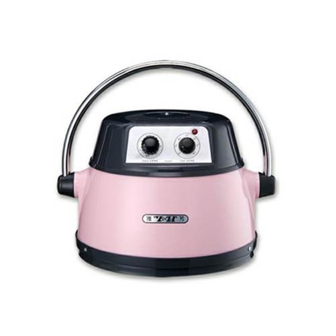 虾皮购物的雅芳精品宠物烘毛机基本款，优惠价2800元。（虾皮购物提供）