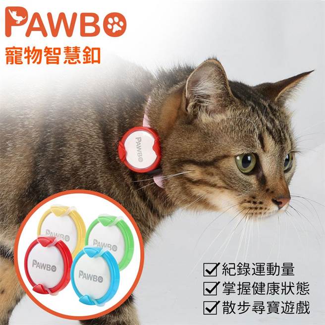 远传friDay购物的Pawbo波宝宠物智慧扣/运动追踪器，原价980元，10月11日前特价566元。（远传friDay购物提供）