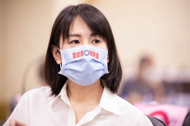 國民黨立委謝衣鳳。（圖／取自謝典霖臉書）