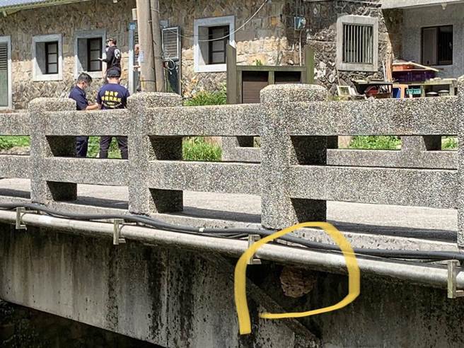 瑞芳大粗坑步道口民眾遭蜂螫伤，警、消人员发现桥下和树上两处蜂巢。（新北市消防局提供）
