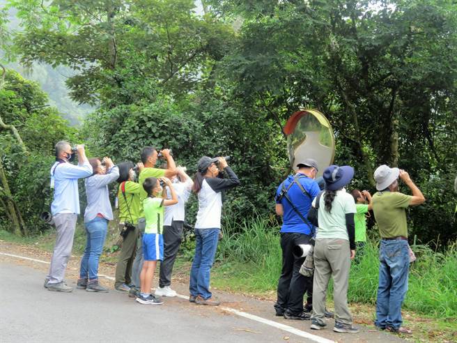 2021大雪山赏鸟大赛参赛队伍于大雪山林道18K观察绿啄木。（东势林管处提供／王文吉台中传真）