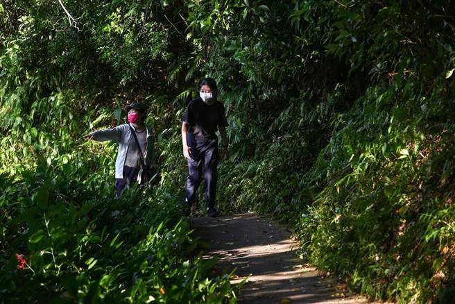 假日许多民眾戴着口罩，到仙迹岩登山健走。中央流行疫情指挥中心指挥官陈时中日前在记者会上透露，周日（3日）会宣布口罩松绑措施，未来户外登山、运动有望脱口罩。（邓博仁摄）

