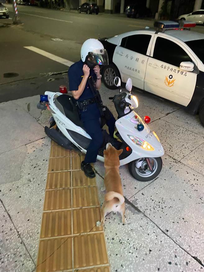 迷途柴犬見警員返回派出所，立刻衝至警用機車前猛搖尾巴示好，似乎要報案求助。（翻攝照片／石秀華高雄傳真）