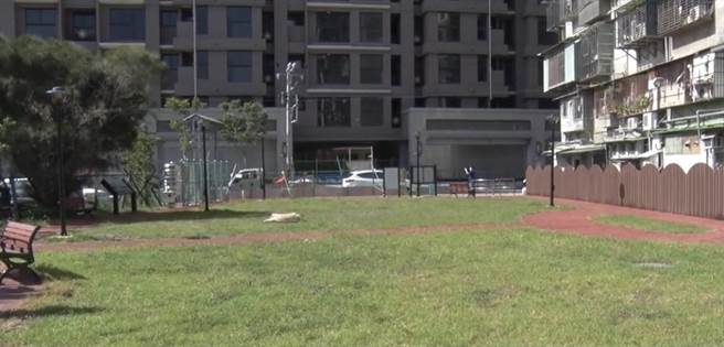 公所表示，用地下方增设滞洪池后，解决积水问题，歷经半年施工，如今已绿美化，预计明年初就可增添游具。（公所提供／戴上容新北传真）