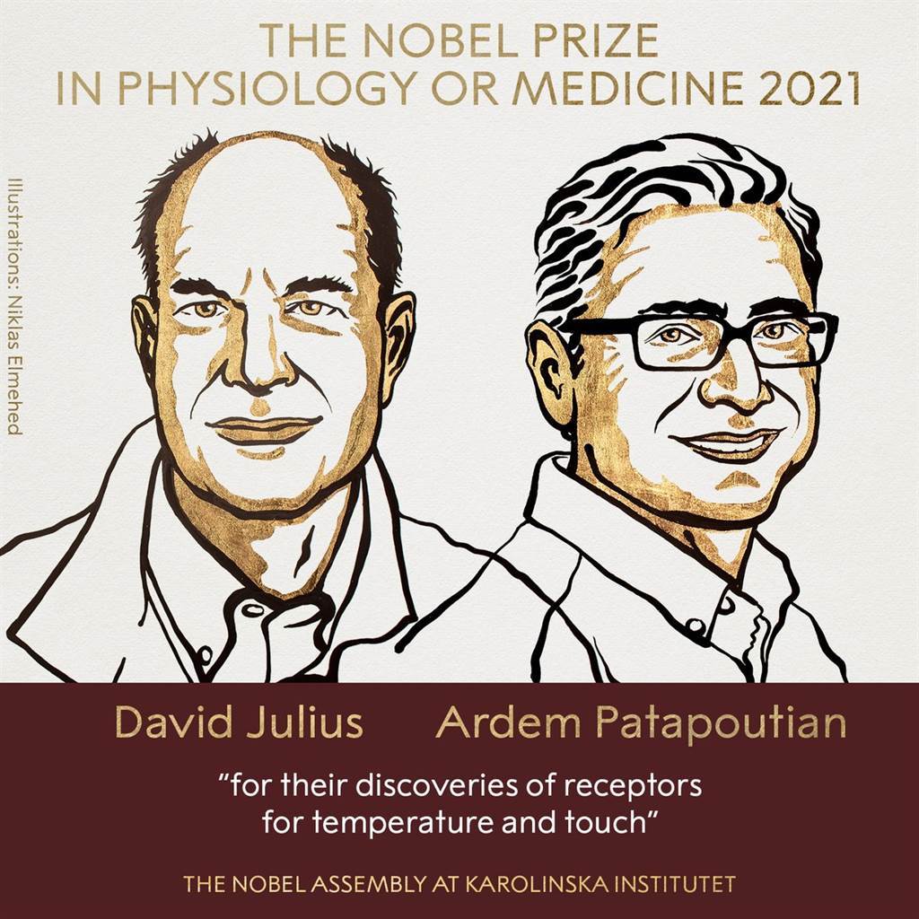 2021年诺贝尔生医奖由美国两学者朱里雅斯（David Julius，左）和帕塔博蒂安（Ardem Patapoutian）共享。（诺贝尔官网）(photo:ChinaTimes)