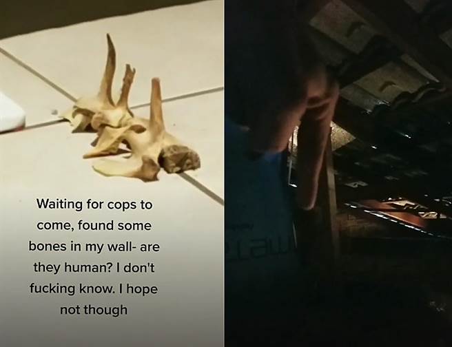 国外一名网友在家中阁楼发现一些形状诡异的骨头，让他看了毛骨悚然。（图片翻摄自抖音／@franceschuckieraven）