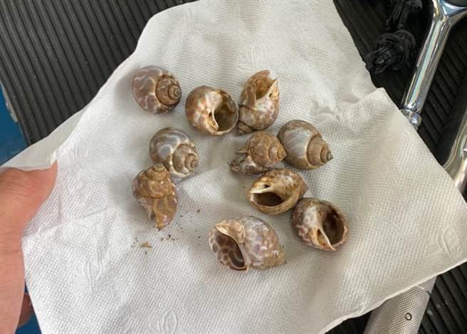 原PO大费周章因为异音跑去维修厂，结果却在底盘弄下10颗凤螺，实在好无奈。（翻摄自脸书社团《爆废公社二馆》）