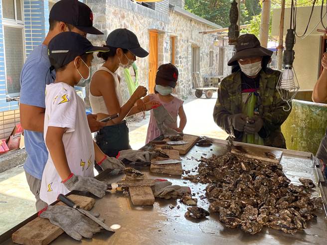 馬祖淡菜體驗活動。（葉書宏攝）