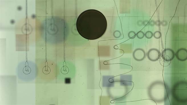 《彈珠鐘擺》運用停格動畫的形式探索萬物的因與果。