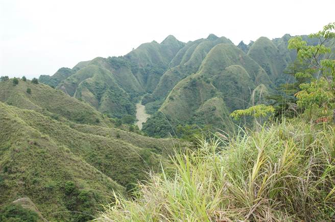 九九峰森林步道，12日起封闭。（南投林管处提供／廖志晃南投传真）