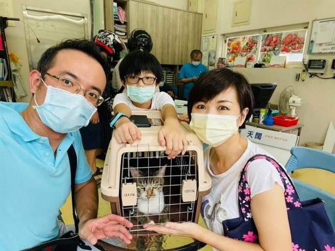 个性温和人见人爱的「馒头」已于近日顺利康復被民眾认养，找到一个温暖的家。（动保处提供）