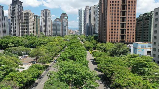 七期60米寬市政路，與台北仁愛路並稱為全台最美的林蔭大道。（圖／曾麗芳）
