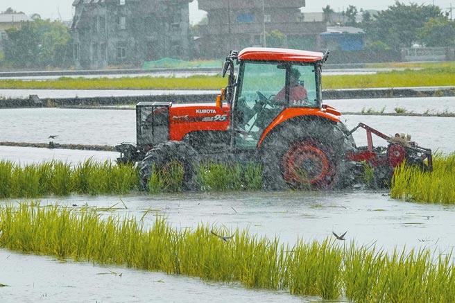 我国已提出申请加入跨太平洋伙伴全面进步协定（CPTPP），比起世贸组织（WTO）的关税减让，再进一步减免，农业将受到更大衝击。专家表示，小农经营难敌「量大价低」的进口浪潮，为避免被淹没，青农应先组织成「产业联盟」，抓紧市场导向，改变农业体质，打造属于台湾农产的品牌与附加价值。（黄子明摄）