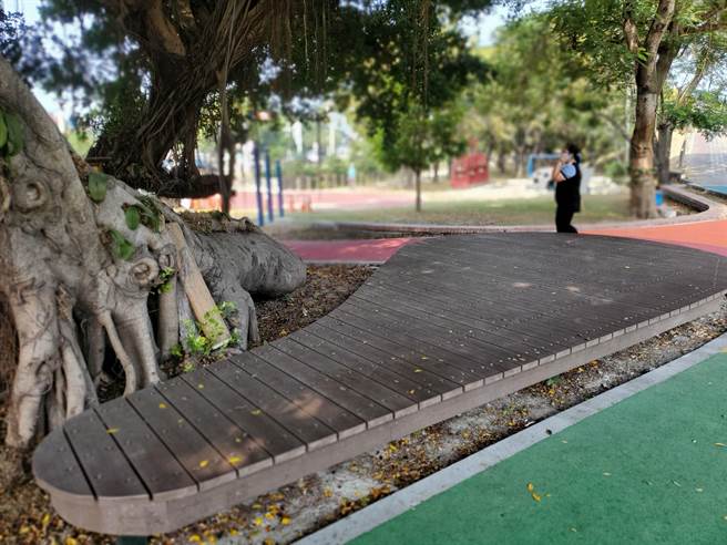 福善寺对面的堤顶大榕树下有一个钢琴状的乘凉区。（周丽兰摄）