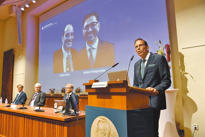 诺贝尔委员会秘书长佩勒曼（右）4日在斯德哥尔摩卡罗琳医学院宣布，美国科学家朱里雅斯以及帕塔普蒂安因发现温度和触觉的受体，获得2021年诺贝尔生理医学奖。（美联社）