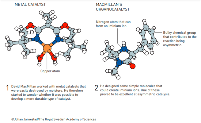 李斯特與麥克米倫研發出精確的分子建構工具，成本更低且更環保。（圖／諾貝爾官網）