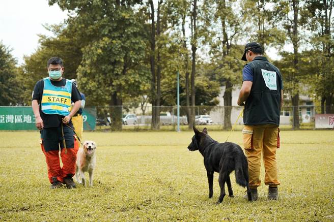 消防署辦理搜救犬評量測驗，通過認證即可投入救災任務。（消防署提供）