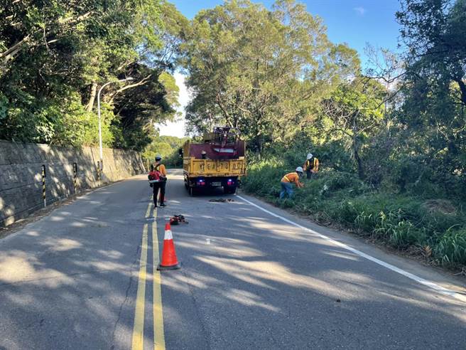 龜山產業道路旁大樹突倒下，橫躺馬路阻通行。（翻攝照片／蔡依珍桃園傳真）