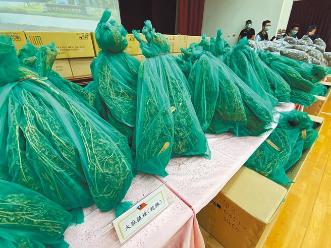 嘉义检警破获大麻集团案，扣押价值10亿元的大麻毒品，日前向法院声请销毁却遭驳回。（本报资料照片）