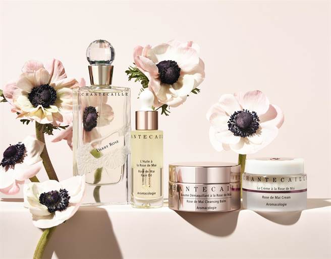 香緹卡品牌形象圖。（香緹卡提供）