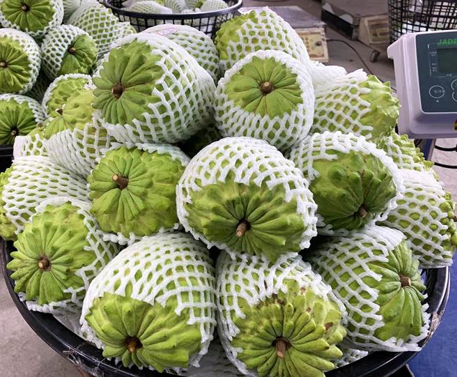 距离凤梨释迦採收仅剩不到1个月，农民忧心销售通路。（台东县政府提供／蔡旻妤台东传真）