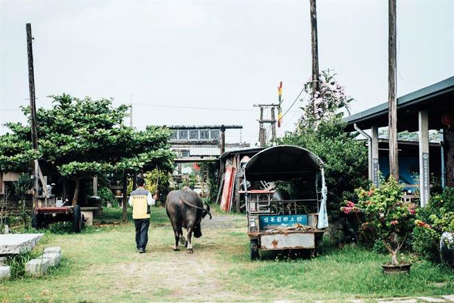嘉义县有3个休閒农业区，为打响休閒农业区知名度，县府整合推出「嘉义阳光郊游社」品牌概念，在10月、11月强推3大休区年度节庆活动，广邀民眾一起去郊游。（嘉义县政府提供∕吕妍庭嘉义传真）