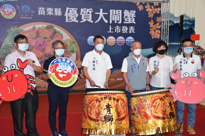 苗栗縣長徐耀昌及縣議長鍾東錦7日上午共同擊鼓宣布今年苗栗大閘蟹開始上市。（謝明俊攝）