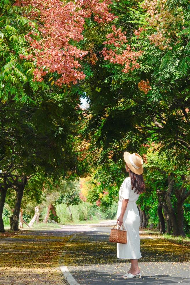 埔盐石碑村的秘境林道，其实位在东螺溪沿岸所修筑的自行车道上，因为自行车道修筑在堤岸上，与道路落差大，因此平时不会有汽车通行。（吴建辉摄）