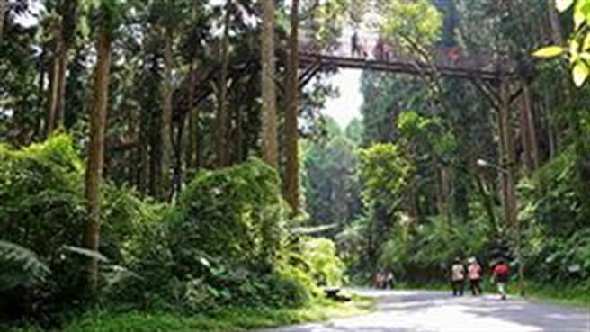 溪头福华饭店，位于溪头自然教育园区。（福华提供／廖志晃南投传真）