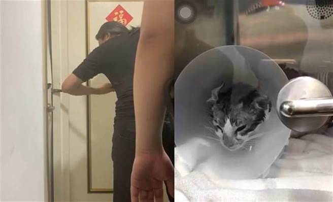 救援志工用铁撬破坏门锁进入屋内救出「茶茶」。（图／救援志工「猫男」许镭译翻摄）