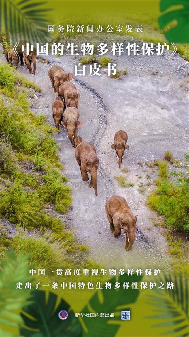 大陆国务院新闻办发表《中国的生物多样性保护》白皮书。（新华社）