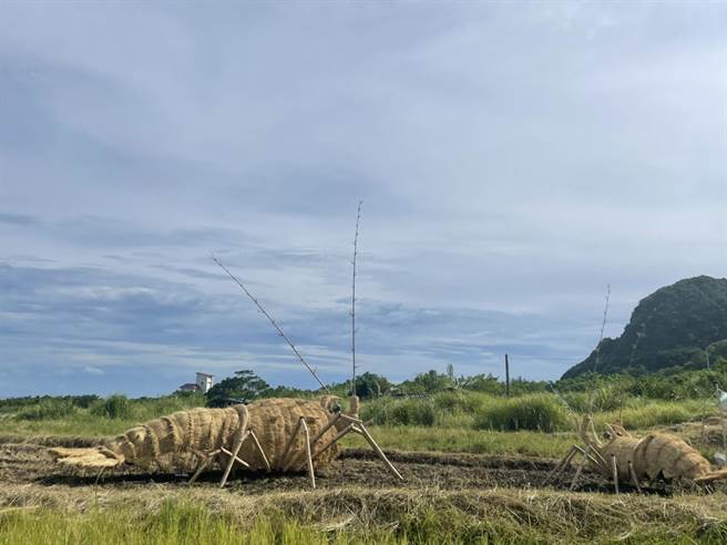 丰滨乡公所在邻近台11线的新社半岛梯田、石梯坪，邀部落族人创作稻草装置艺术，最近新增「早餐吃龙虾」等作品。（丰滨乡公所提供／王志伟花莲传真）