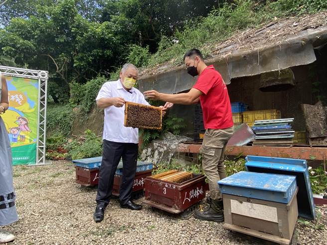 台中太平农会推出蜜蜂生态小旅行、蜜蜂农游巴士等活动，农会总干事余文钦邀民眾来太平体验拿蜂巢片、挖蜂巢蜜等养蜂场日常。（冯惠宜摄）