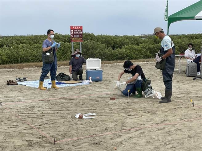 台南市農業局8日下午於頂山第一賞鳥站旁廣場辦理「黑面琵鷺保護區及度冬棲地巡守及環境整備共同演練」。（劉秀芬攝）