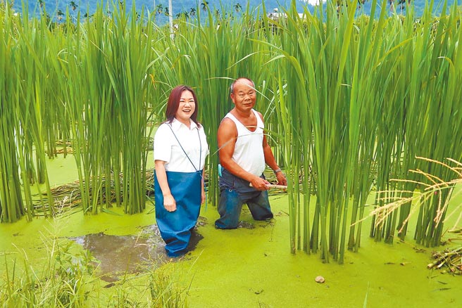 立委马文君（左）在后疫情时代，致力于振兴南投县的在地经济。（马文君服务处提供／廖志晃南投传真）