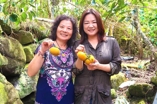 立委马文君（右），关心农民生计、农业生产与行销。（马文君服务处提供／廖志晃南投传真）